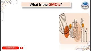 what is a genetically modified organism  GMOs gmos microbiology biotechnology [upl. by Thomasa90]