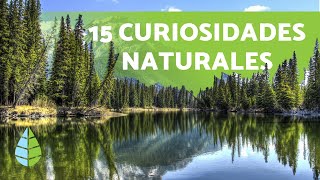 15 CURIOSIDADES de la NATURALEZA que te sorprenderán [upl. by Martina58]