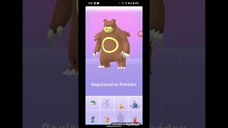 Teddiursa to Ursaring evolution shorts pokemon evolutionpokemongo [upl. by Albie]