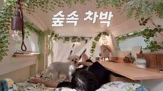 🚌세상에 하나뿐인 캠핑카에서 강아지와 단둘이 가을 차박 즐기기  묵은지 삼겹살  솔로 캠핑  스타렉스 자작 캠핑카  전라남도 보성 하느제 캠핑장 [upl. by Abixah]