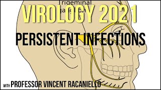 Virology Lectures 2021 17  Persistent Infections [upl. by Hahnert]