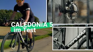 Komfort trifft Leistung Das Cervelo Caledonia 5 Ultegra Di2 im Test [upl. by Darlene]