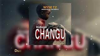 Wyse  KIDOGO CHANGU AUDIO LYRICS [upl. by Odab300]