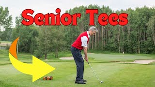 Understanding Tee Boxes for Seniors DONT Make this Costly MISTAKE [upl. by Neenaej]