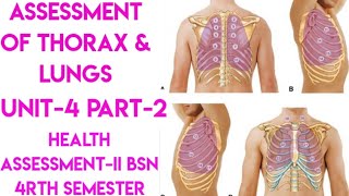 Assessment of Thorax amp LungsPart2Unit4Health AssessmentIIBsn 4rth semesterin UrduEnglish [upl. by Uah]