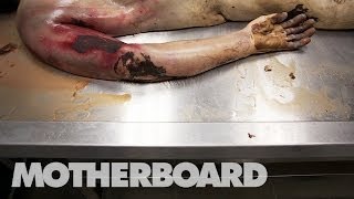 Reviving Dead Bodies in Mexico Trailer [upl. by Abbey]