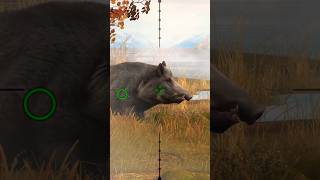 Boar Hunting hunting gaming shorts wildboarhills boarhunting hunting [upl. by Ahsilrak]