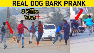 Real Dog Bark Prank SmartiesPrankTV [upl. by Cchaddie444]