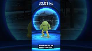 We Caught Shiny Hitmonlee in PokemonGo pokémon nintendo [upl. by Eamon]