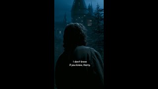 Sirius offers Harry a home HarryPotter SiriusBlack PrisonerOfAzkaban [upl. by Atelra]