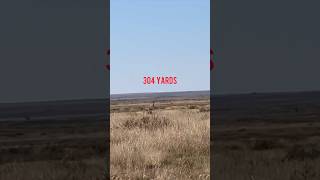 65 PRC Pronghorn at 304 Yards [upl. by Farlay]