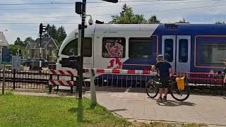 Spoorwegovergang Meerssen  Dutch Railroad Crossing [upl. by Crescint764]