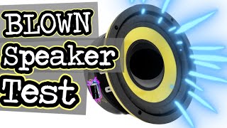 How To Tell If A Speaker Is Blown [upl. by Enytsuj]