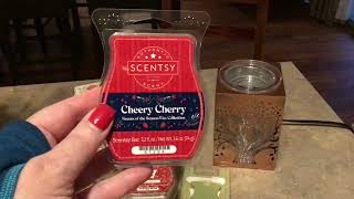 SCENTSY HAUL WITH SCENTS OF THE SEASON NOVEMBER 2024 [upl. by Sadinoel]