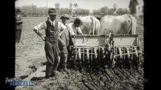 Piacere Vercelli  Vercellese Fiera agricola negli anni 20 del 1900 [upl. by Airehs]