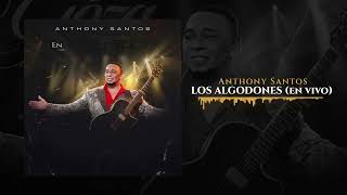 Anthony Santos  LOS ALGODONES En Vivo [upl. by Anida526]