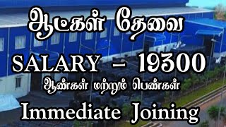 💥 ஆட்கள் தேவைசம்பளம்  19300RoomFoodChennai Job Vacancy 2024 TamilChennai Jobs Today Openings [upl. by Branden]