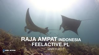 Raja Ampat 17 [upl. by Laurena]