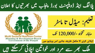 Planning amp Development Board Government Of Punjab Jobs 2024 Announced  Government Jobs 2024 [upl. by Sigsmond]