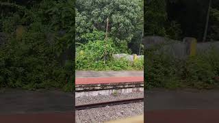 Thenmala Railway station tamil train [upl. by Fitz398]