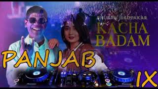 🎧 kacha Badam  pioneer Dj MIX panjap MIX  කචා බදම්  dj MIX [upl. by Yruama388]