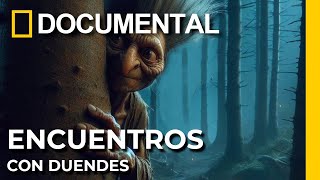 Increíbles Historias de Duendes Reales ¿Qué Esconden  Documentales en Español [upl. by Herold578]