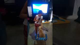 Cantando e o cachorro caramelo assistindo  yotubecreatorawards cachorro caramelo [upl. by Malkah141]