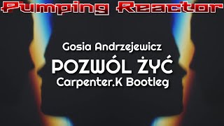 Gosia Andrzejewicz  Pozwól Żyć CarpenterK Bootleg [upl. by Main724]