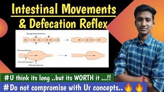 Intestinal Movements Defecation reflex GIT Physiology  in hindi Ashish Agrawal [upl. by Lenoil]