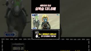 경마 세마리 찾기 x131배 shorts shortvideo [upl. by Mharba]