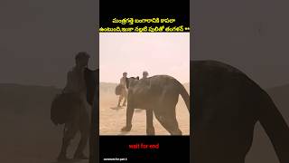 ⚡⚡💥Most Interesting amazing facts Telugu⚡💥⚡teluguviraltrending shortsytshortsshort [upl. by Gladi]