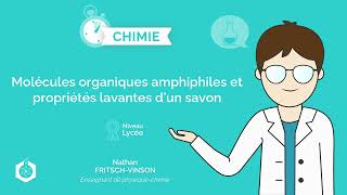 ⌚🧪 Molécules organiques amphiphiles et propriétés lavantes d’un savon ‖ Physique  Chimie ‖ Lycée [upl. by Pirnot205]