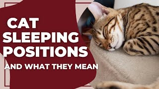 Cat Sleeping Positions and What They Mean [upl. by Veradia889]