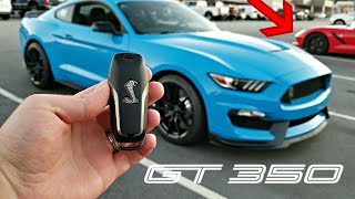 Mustang Shelby GT350 Review  From a Corvette owner [upl. by Atil]