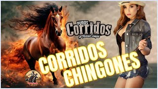 🎉PUROS CORRIDOS VIEJITOS ⚡ De Los Famosos 90S Y 2000 🎼 Con Banda Para Pistear 2024🎉🎉11291124 [upl. by Eledoya]