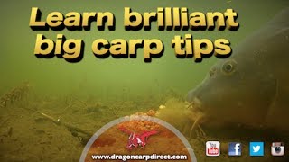 Brilliant carp tips and action [upl. by Maccarone610]