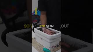 How to use Paraffin Wax Bath ⚠️ [upl. by Angel]