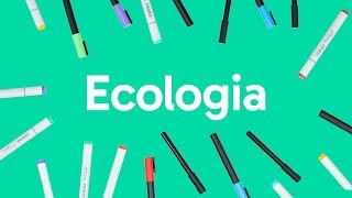 ECOLOGIA CADEIA ALIMENTAR BIOMAS E RELAÇÕES ECOLÓGICAS  QUER QUE DESENHE [upl. by Odnuges344]