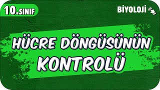 Hücre Döngüsünün Kontrolü  10Sınıf Biyoloji 2025 [upl. by Seni]