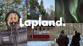 lets go to lapland  tree cabin northern lights amp reindeers [upl. by Neema]