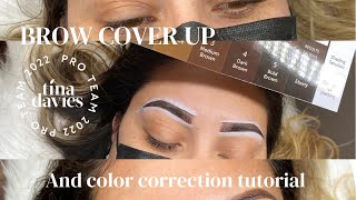 Microblading Cover Up amp Color Correction Tutorial [upl. by Ybrad]