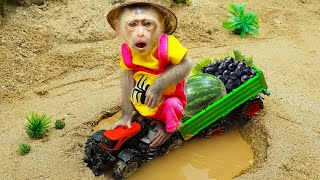 Baby Monkey BiBi go harvest watermelons and create melon pieces Coco Monkey [upl. by Erdne134]