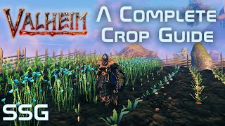 Valheim A Complete Crop Guide [upl. by Shulem]