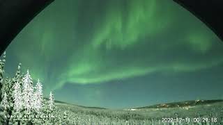 Aurora Borealis is Fairbanks Alaska December 1011 2022 [upl. by Nunciata]