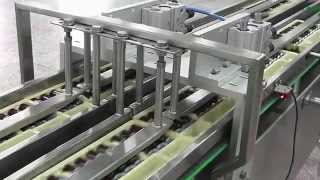 Integrated 600 ppm Ampoule amp Vials Packaging Line by Pharmapack [upl. by Haletta205]