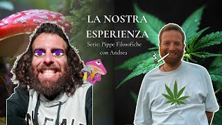 Funghi Marijuana e lalterazione della percezione [upl. by Wawro]