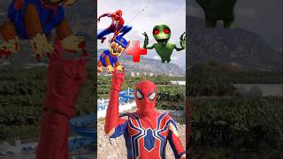 Spiderman and Chase Paw Patrol EXE  Dame Tu Cosita EXE  Marvel Animation [upl. by Anisirhc]