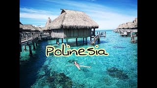 Polinesia  Moorea [upl. by Ontine]