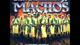 banda machos el huerfanitowmv [upl. by Jeno]