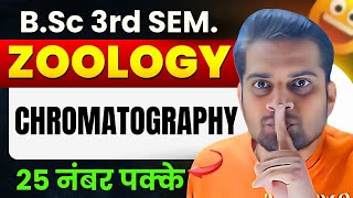 ChromatographyBSc 3rd Semester ZoologyBe DKDian [upl. by Carley]